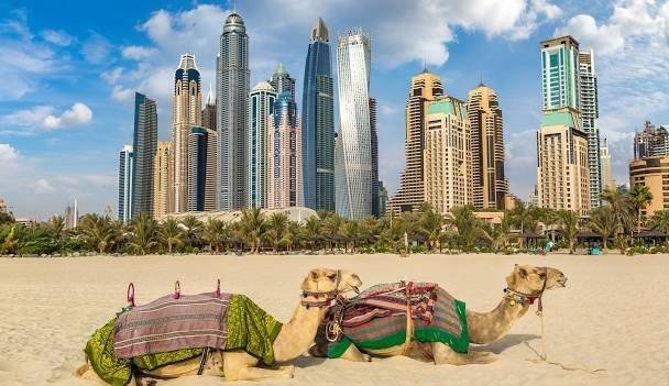 assurance-emirats-arabes-unis